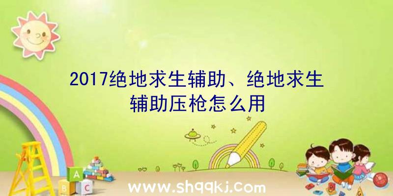 2017绝地求生辅助、绝地求生辅助压枪怎么用