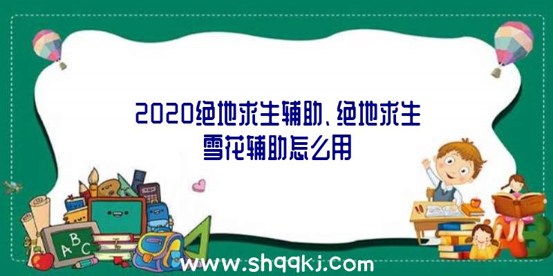 2020绝地求生辅助、绝地求生雪花辅助怎么用