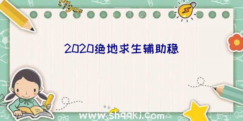 2020绝地求生辅助稳