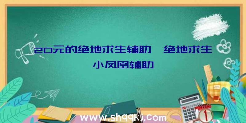 20元的绝地求生辅助、绝地求生小凤凰辅助