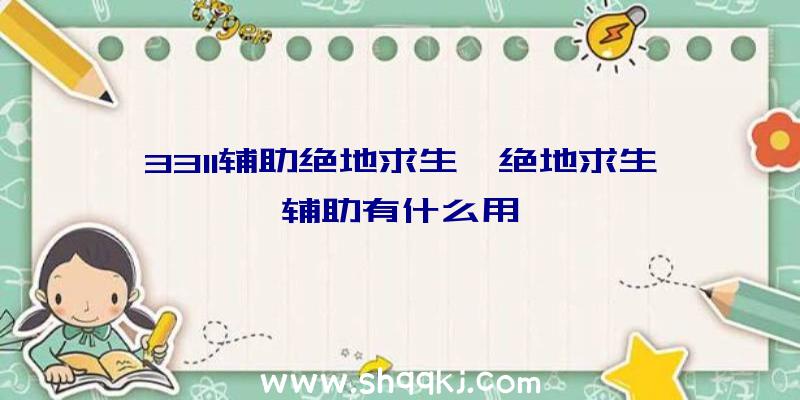 3311辅助绝地求生、绝地求生辅助有什么用