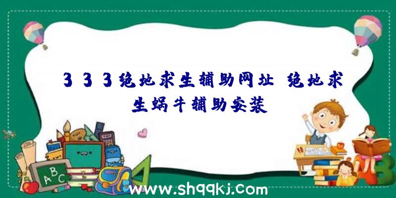 333绝地求生辅助网址、绝地求生蜗牛辅助安装