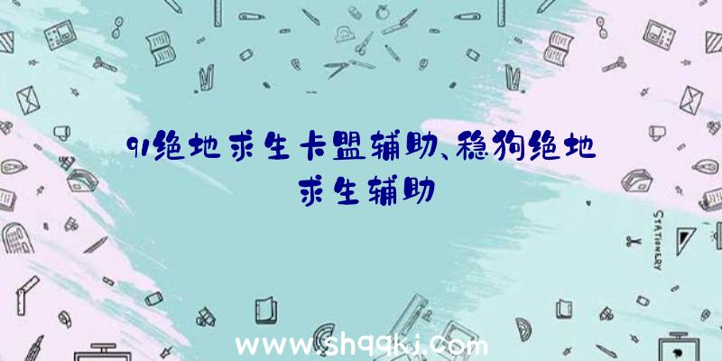 91绝地求生卡盟辅助、稳狗绝地求生辅助