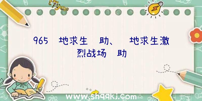 965绝地求生辅助、绝地求生激烈战场辅助