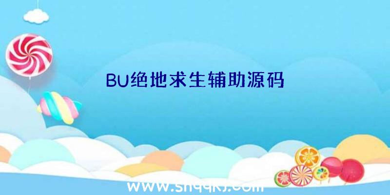 BU绝地求生辅助源码