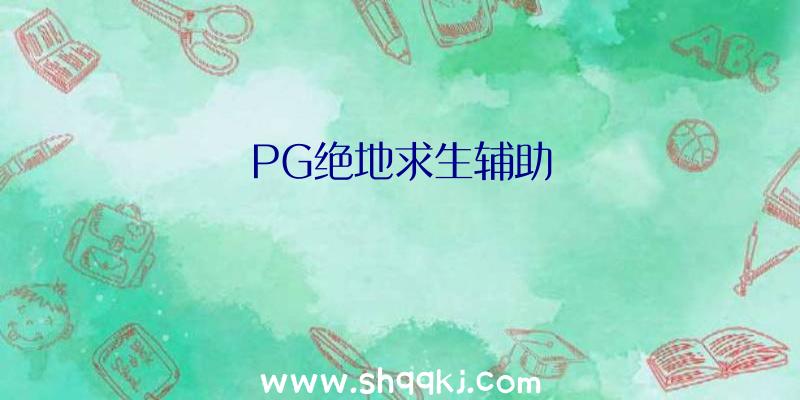 PG绝地求生辅助