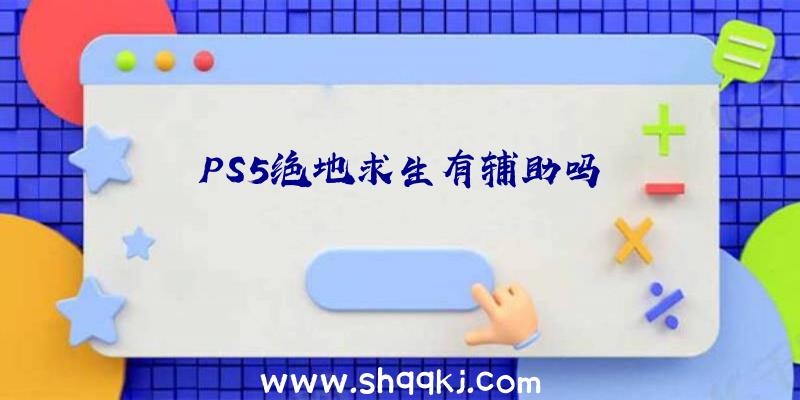 PS5绝地求生有辅助吗