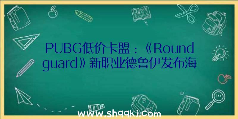 PUBG低价卡盟：《Roundguard》新职业德鲁伊发布海量新技艺、新道具及新义务更新