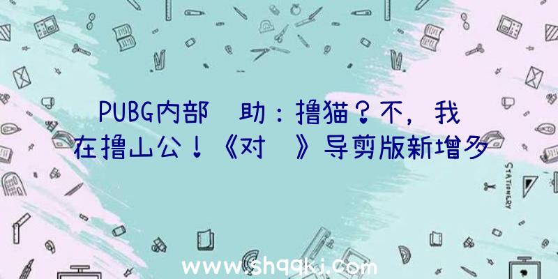 PUBG内部辅助：撸猫？不，我在撸山公！《对马》导剪版新增多个可互动小植物!