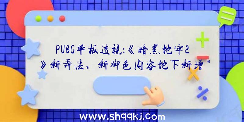 PUBG单板透视：《暗黑地牢2》新弄法、新脚色内容地下新增“类泉币”可购置道具