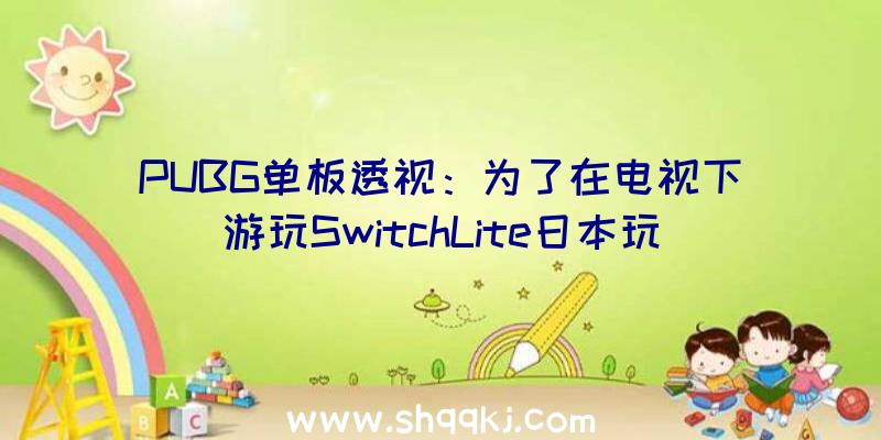 PUBG单板透视：为了在电视下游玩SwitchLite日本玩家整出爆笑“阳间操作”