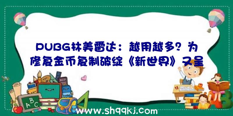 PUBG林美雷达：越用越多？为修复金币复制破绽《新世界》又呈现新金币复制破绽