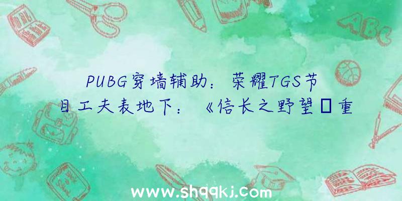 PUBG穿墙辅助：荣耀TGS节目工夫表地下：《信长之野望･重生》、《零：濡鸦之巫女》等表态