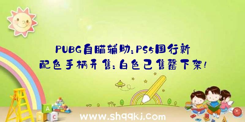 PUBG自瞄辅助：PS5国行新配色手柄开售：白色已售罄下架!黑色京东商城仍显示有货