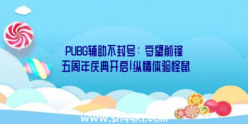 PUBG辅助不封号