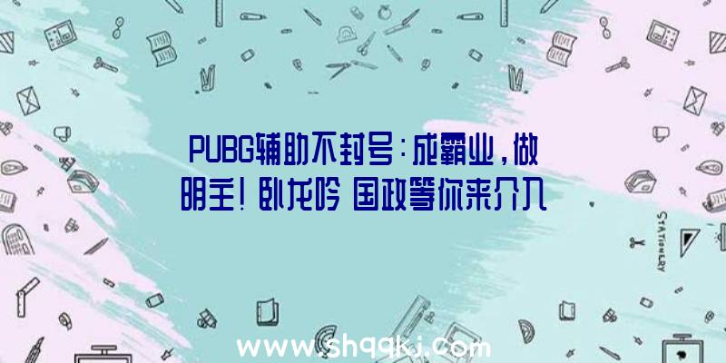 PUBG辅助不封号