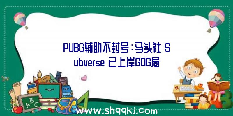 PUBG辅助不封号