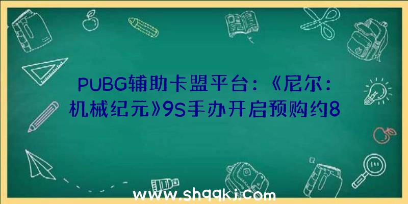 PUBG辅助卡盟平台：《尼尔：机械纪元》9S手办开启预购约849元，同系列2B手办也将再贩