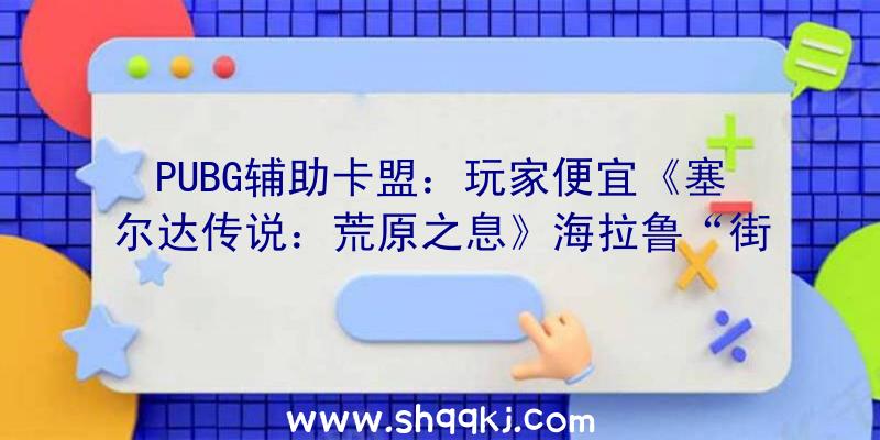 PUBG辅助卡盟：玩家便宜《塞尔达传说：荒原之息》海拉鲁“街景”网站可缩小辨认特定路途