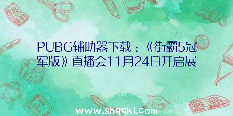 PUBG辅助器下载：《街霸5冠军版》直播会11月24日开启展现最初一个游戏DLC脚色“卢克”