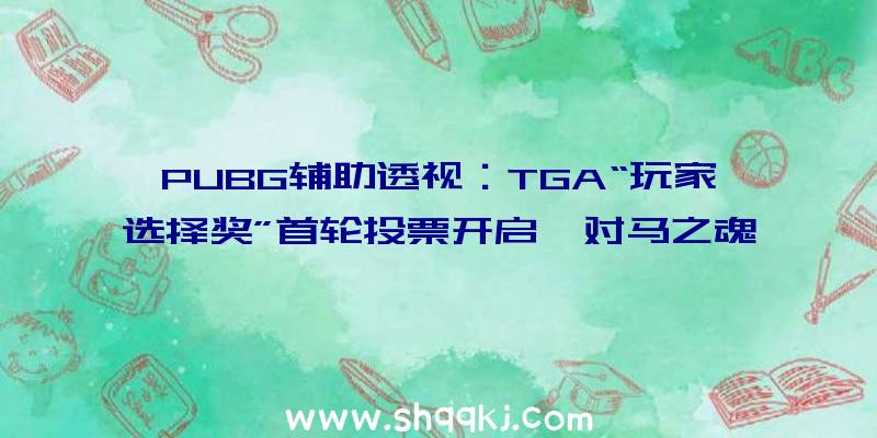 PUBG辅助透视：TGA“玩家选择奖”首轮投票开启《对马之魂》《哈迪斯》《蜘蛛侠》等5款年夜作票数最多