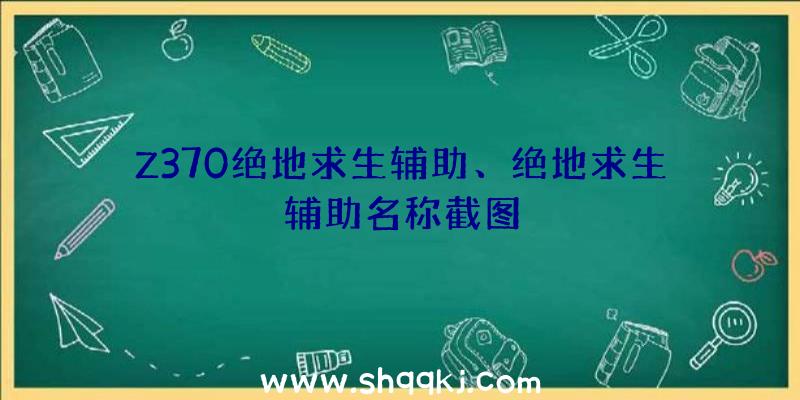 Z370绝地求生辅助、绝地求生辅助名称截图