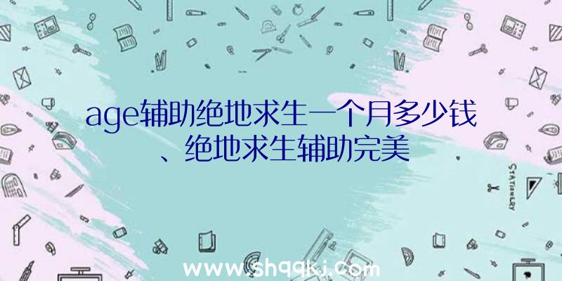 age辅助绝地求生一个月多少钱、绝地求生辅助完美