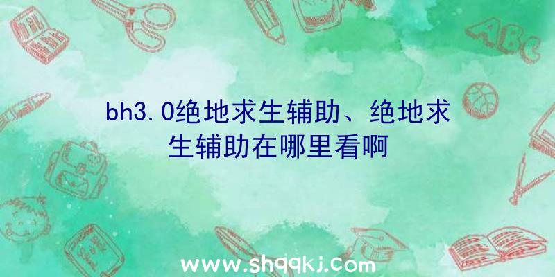 bh3.0绝地求生辅助、绝地求生辅助在哪里看啊