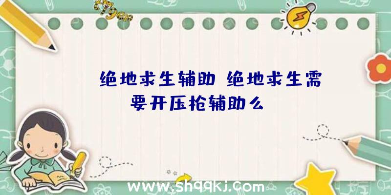 blt绝地求生辅助、绝地求生需要开压枪辅助么