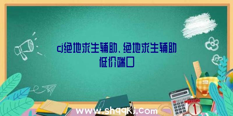 cj绝地求生辅助、绝地求生辅助低价端口