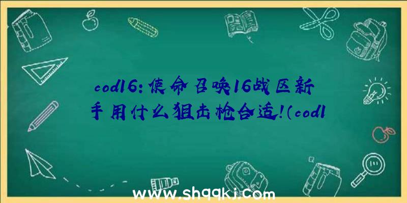 cod16：使命召唤16战区新手用什么狙击枪合适！（cod1616战区初学者合适哪把狙击步枪）