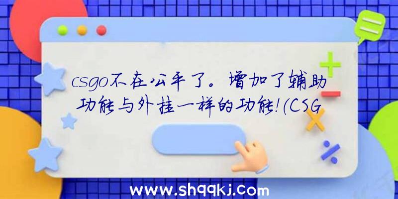 csgo不在公平了。增加了辅助功能与外挂一样的功能！（CSGO中加上微辅助作用,给用户造成更强的体会）