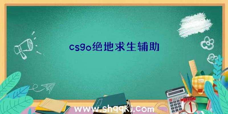 csgo绝地求生辅助