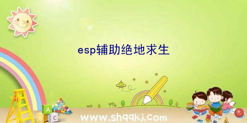 esp辅助绝地求生