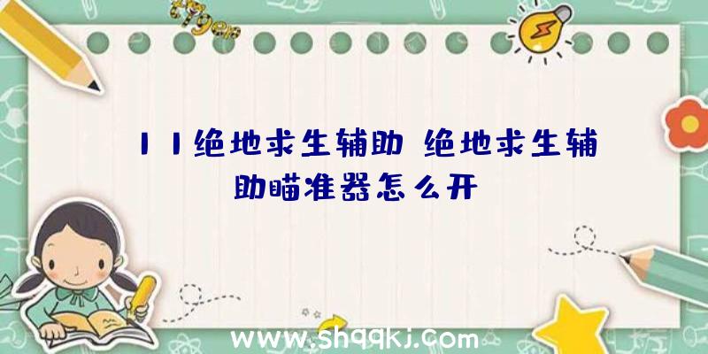 f11绝地求生辅助、绝地求生辅助瞄准器怎么开