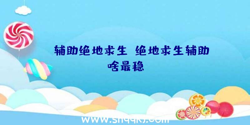 gl辅助绝地求生、绝地求生辅助啥最稳