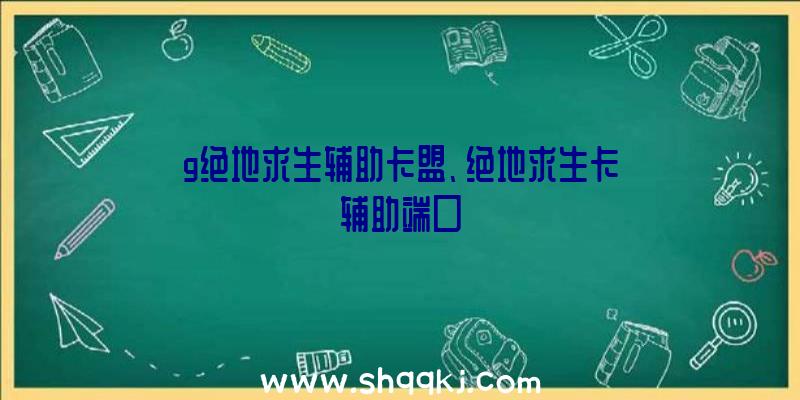 g绝地求生辅助卡盟、绝地求生卡辅助端口