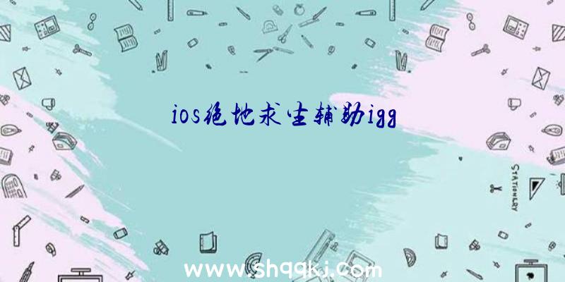 ios绝地求生辅助igg