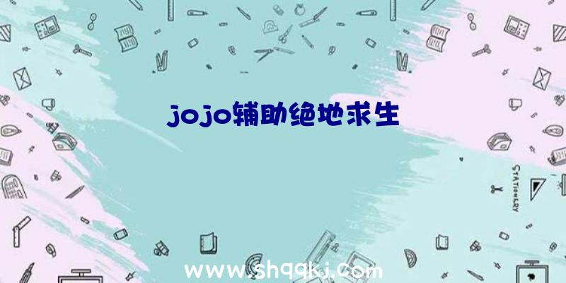 jojo辅助绝地求生