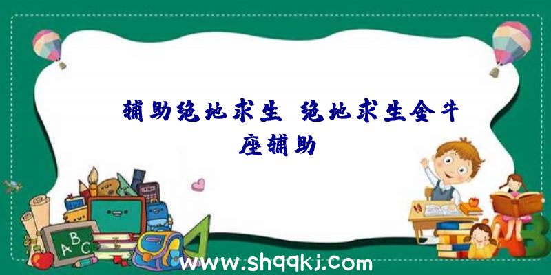 kk辅助绝地求生、绝地求生金牛座辅助