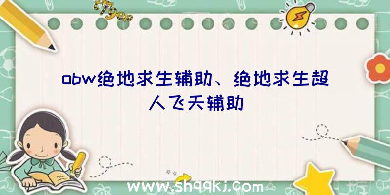 obw绝地求生辅助、绝地求生超人飞天辅助