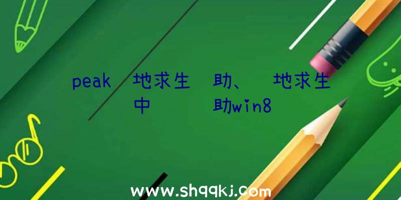 peak绝地求生辅助、绝地求生中队长辅助win8