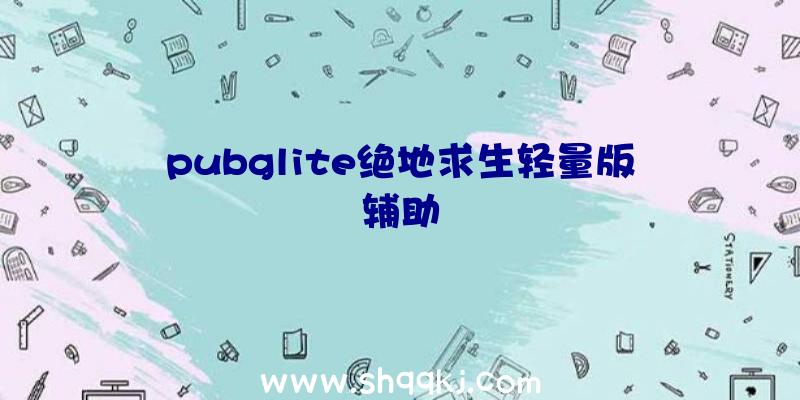 pubglite绝地求生轻量版辅助