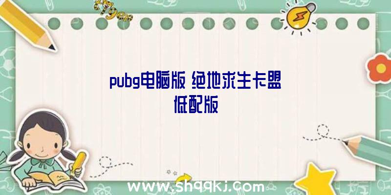 pubg电脑版《绝地求生卡盟》低配版