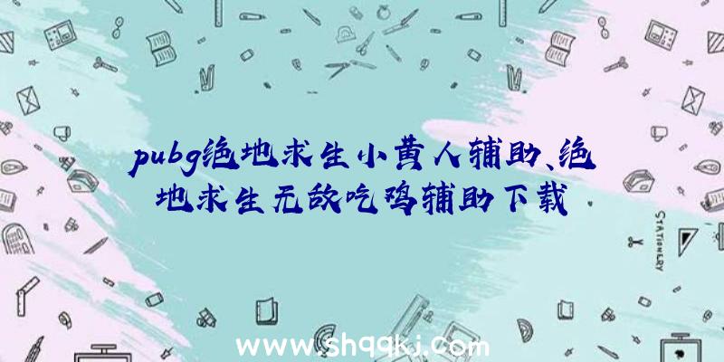 pubg绝地求生小黄人辅助、绝地求生无敌吃鸡辅助下载