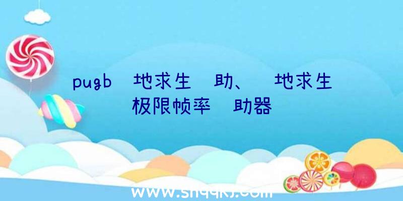 pugb绝地求生辅助、绝地求生极限帧率辅助器