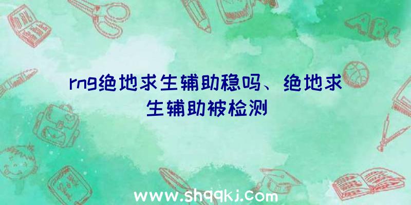 rng绝地求生辅助稳吗、绝地求生辅助被检测