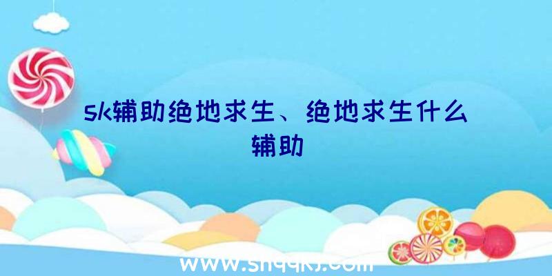 sk辅助绝地求生、绝地求生什么辅助