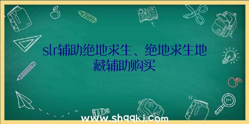 slr辅助绝地求生、绝地求生地藏辅助购买