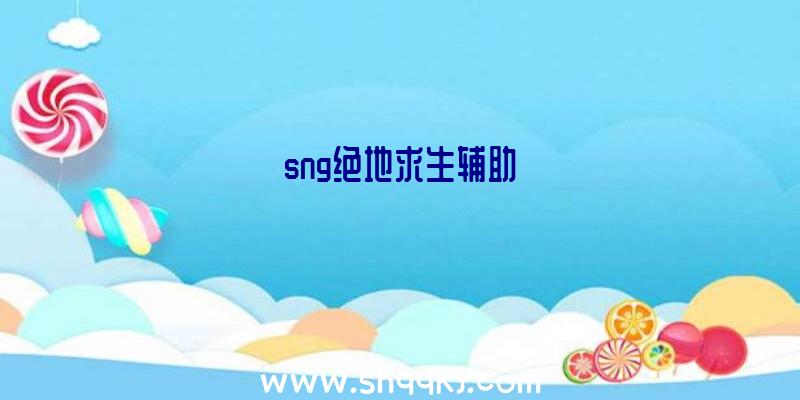 sng绝地求生辅助